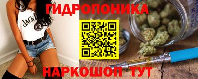 соль ск Можга