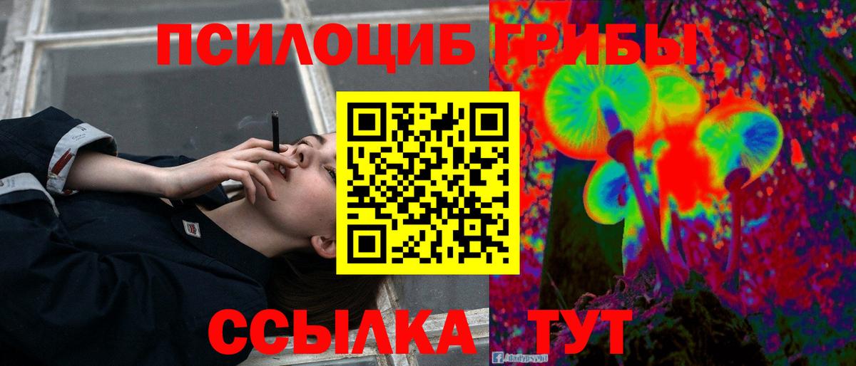 Галлюциногенные грибы Psilocybe Уварово